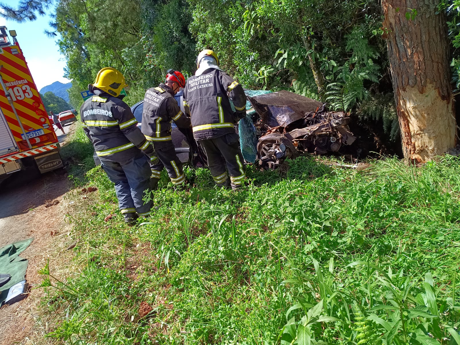 Colisão em árvore resulta em morte na BR-470 em Pouso Redondo