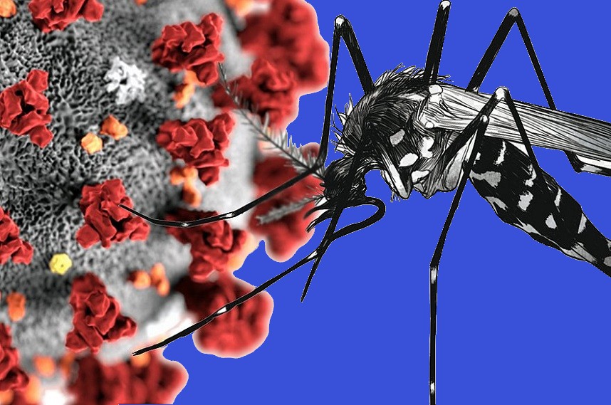 Conheça a diferença dos sintomas de dengue e de covid-19
