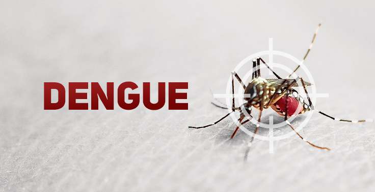 Governo do Estado lança APP de monitoramento e manejo clínico de pacientes com dengue