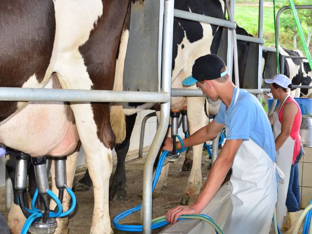 Boletim Agropecuário de fevereiro registra alta no preço do leite