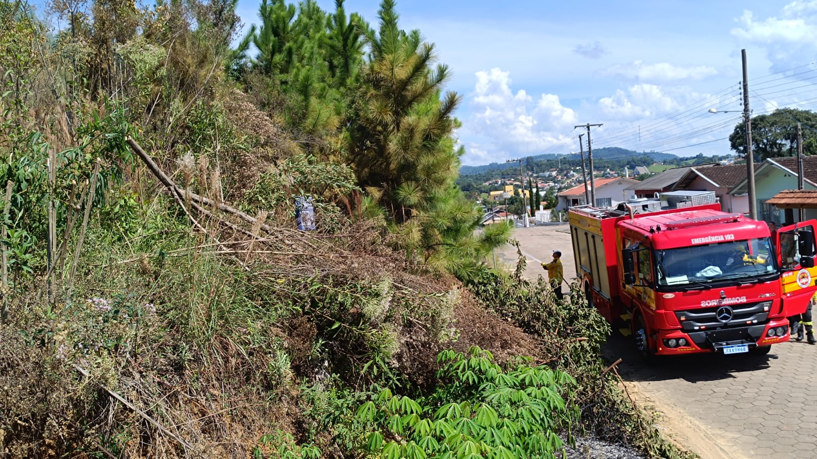 Corpo de Bombeiros combate incêndio de vegetação em Taió