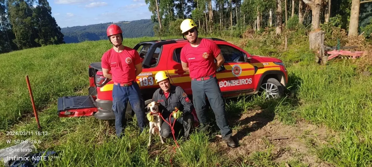 Bombeiros usam rapel e percorrem mais de 40 km para resgatar cão perdido em cânion no Alto Vale