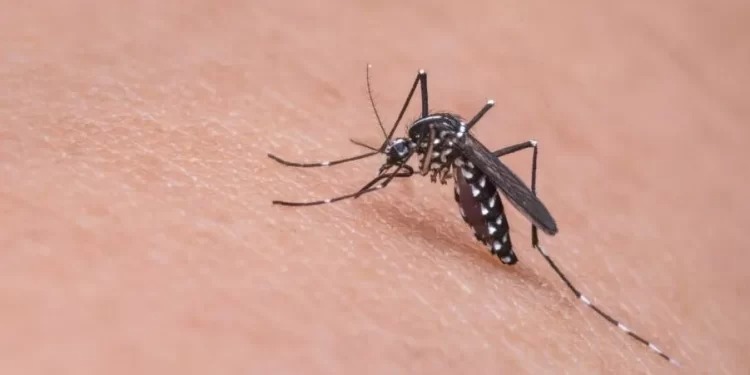 MPSC tem mais de 100 procedimentos instaurados para acompanhar combate à dengue nos municípios