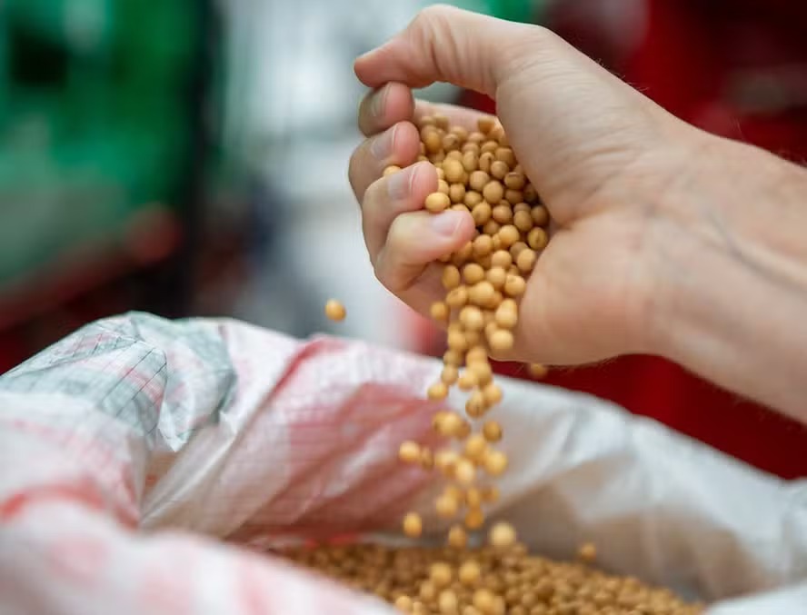 Preço da soja caiu no Brasil na semana passada